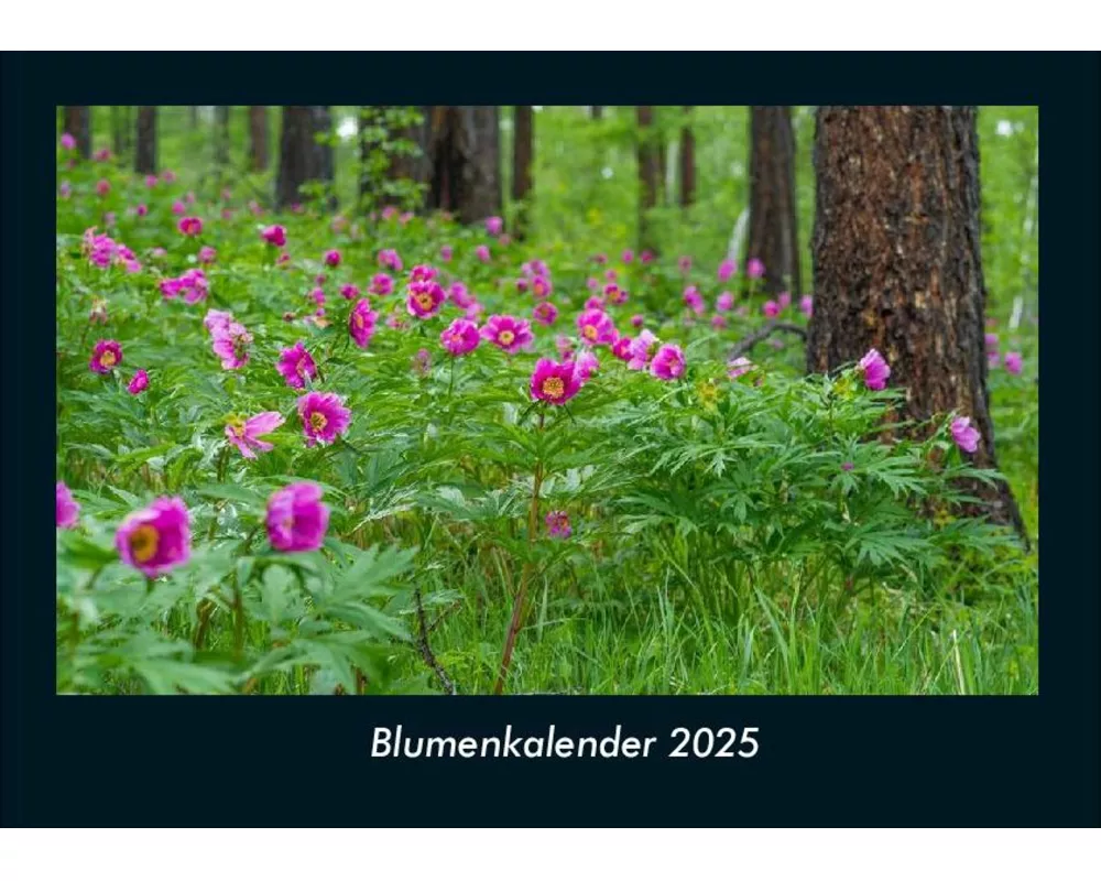 Blumenkalender 2025 Fotokalender DIN A4