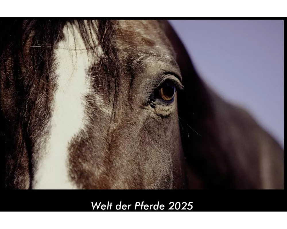 Welt der Pferde 2025 Fotokalender DIN A3