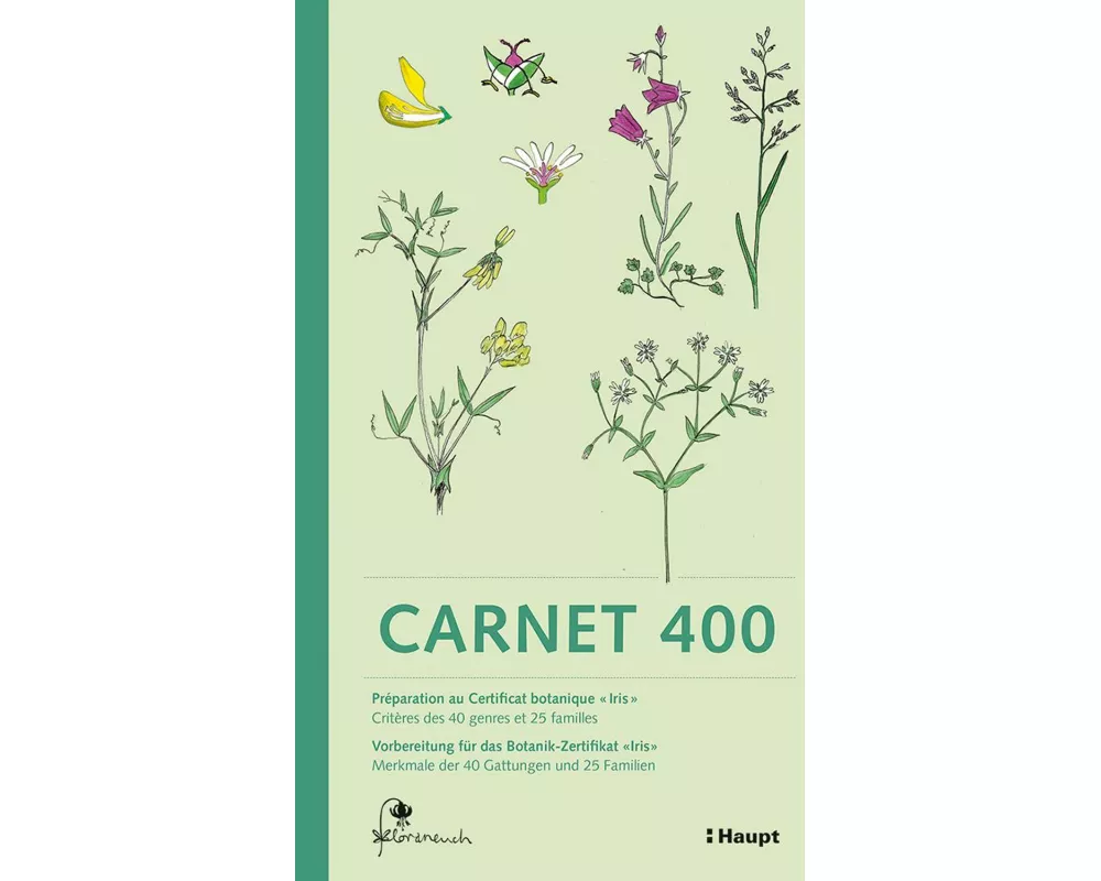 Carnet 400
