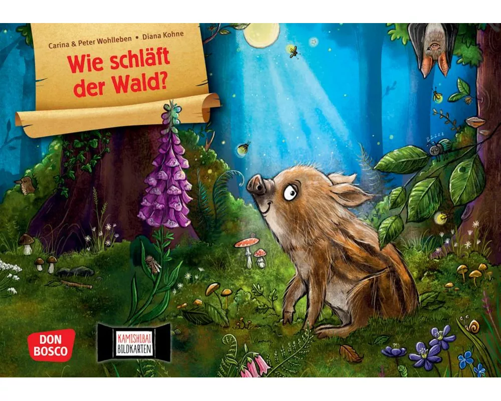 Wie schläft der Wald? Kamishibai Bildkartenset