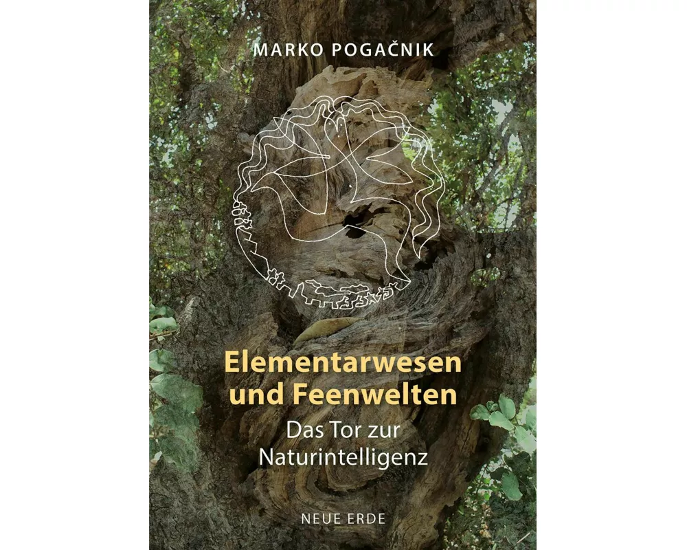 Elementarwesen und Feenwelten