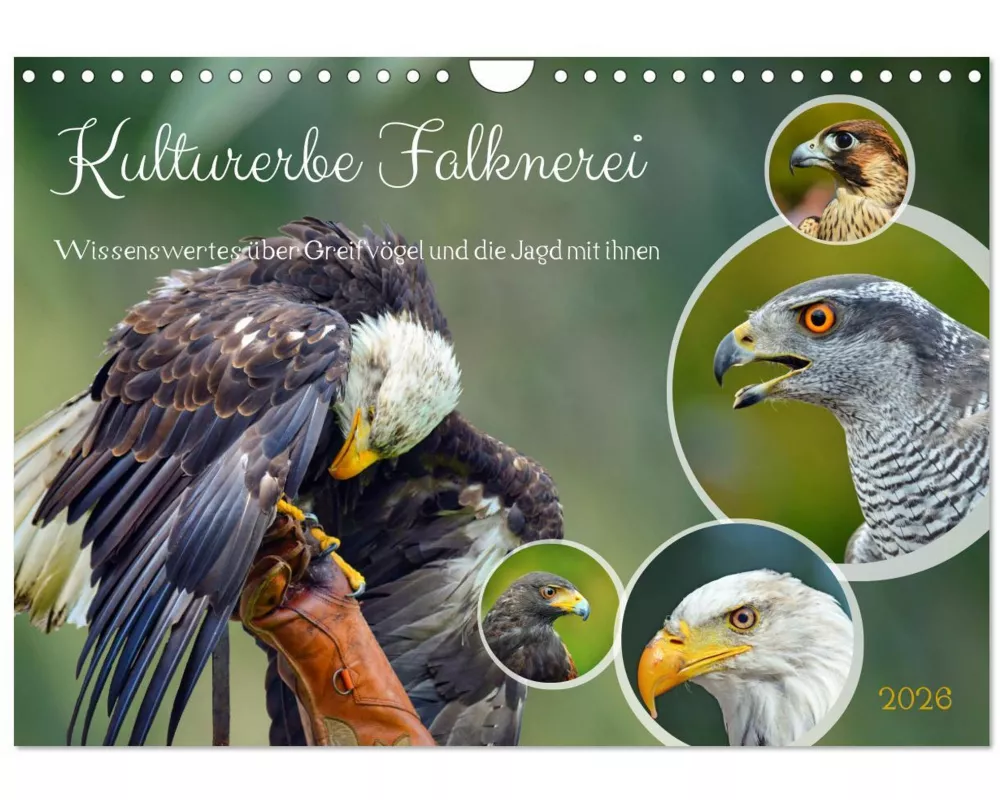 Kulturerbe Falknerei (Wandkalender 2026 DIN A4 quer), CALVENDO Monatskalender