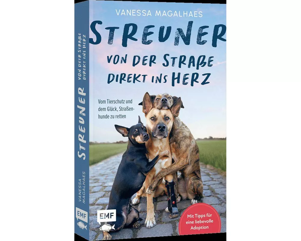 Streuner - von der Straße direkt ins Herz