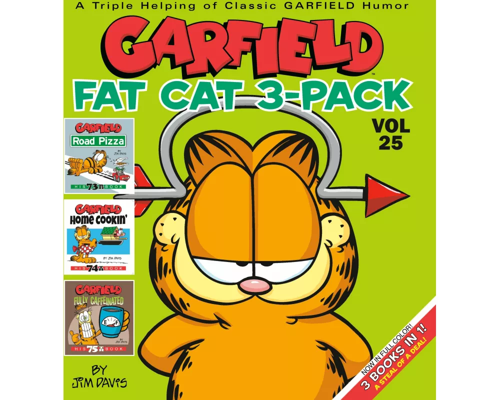 Garfield Fat Cat 3-Pack #25