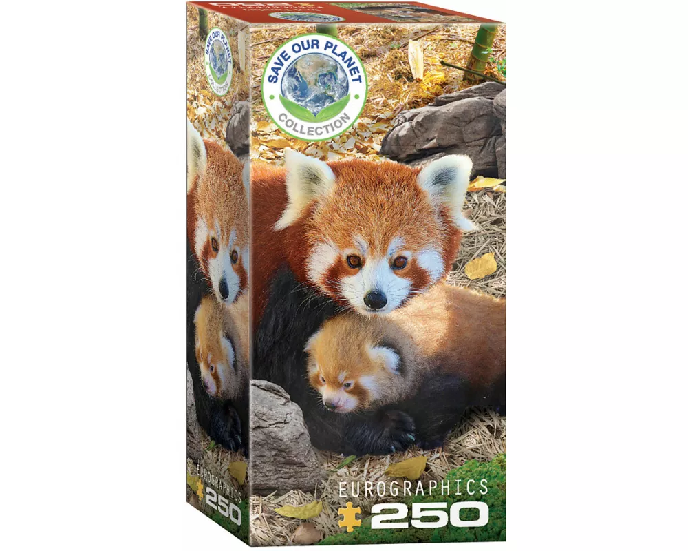 Red Pandas