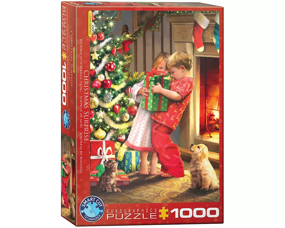 Chistmas Surprise by Simon Tread