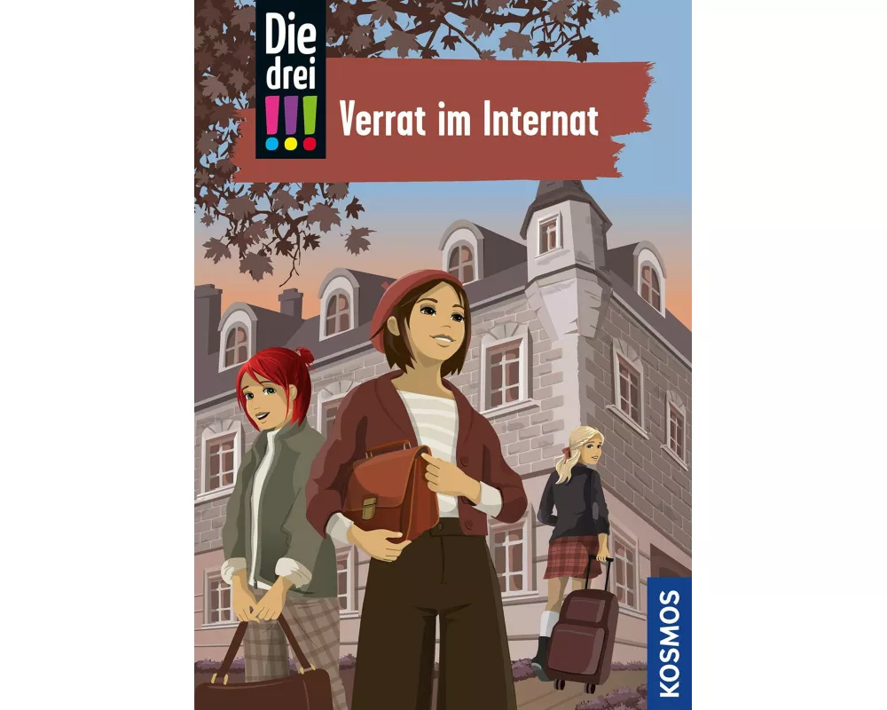 Die drei !!!, 108, Verrat im Internat