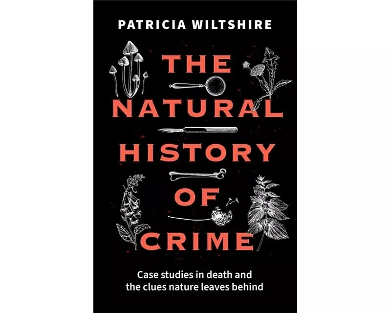 The Natural History of Crime