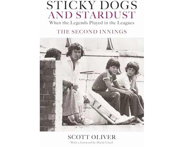 Sticky Dogs and Stardust Volume 2