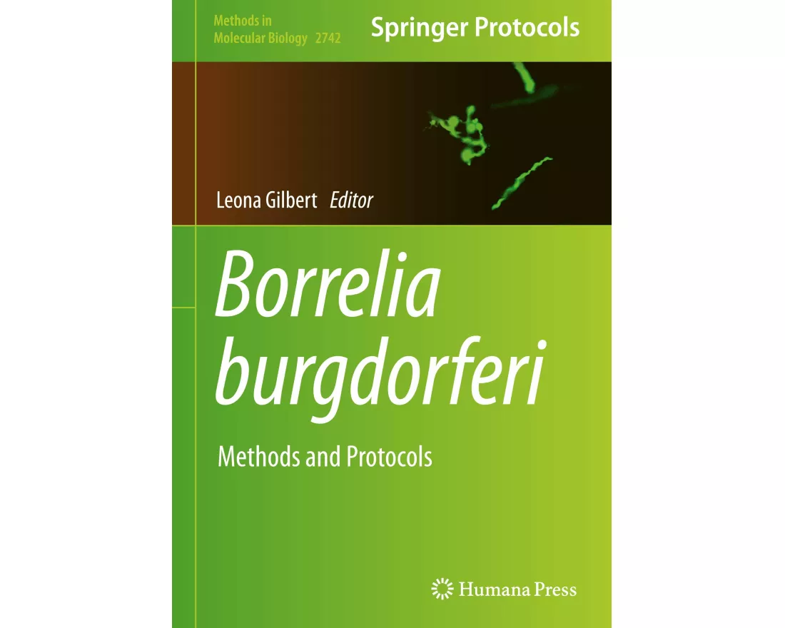 Borrelia burgdorferi