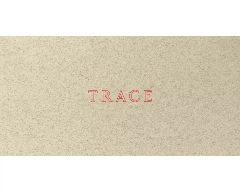 Jenny Holzer: Trace
