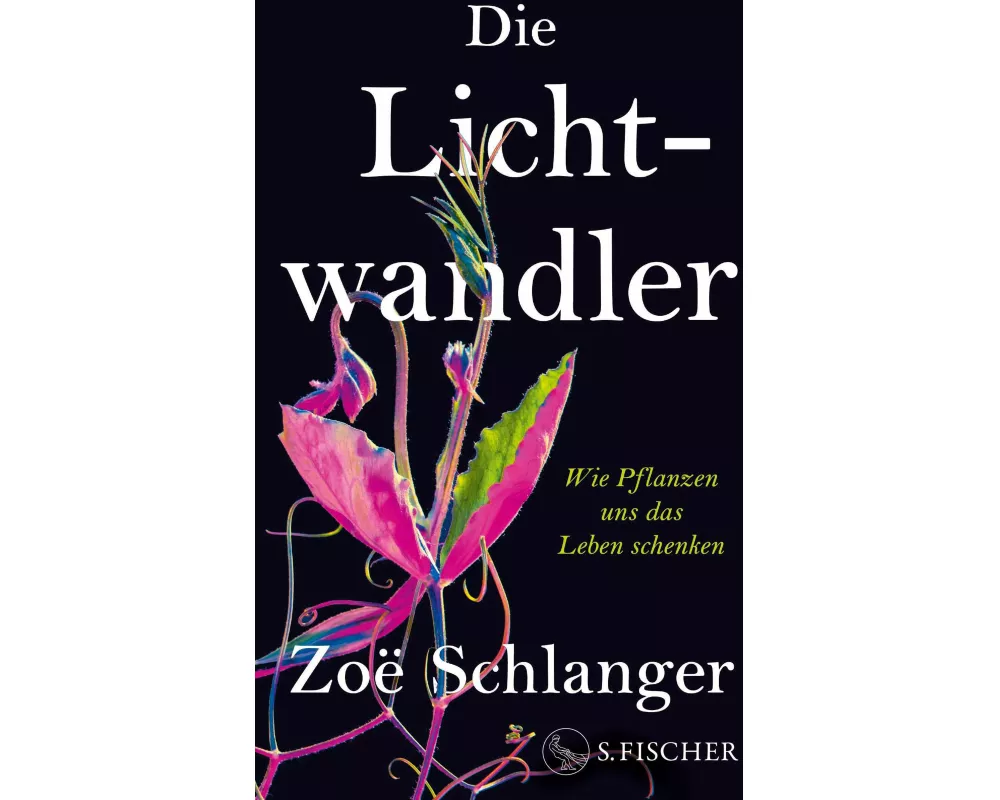 Die Lichtwandler