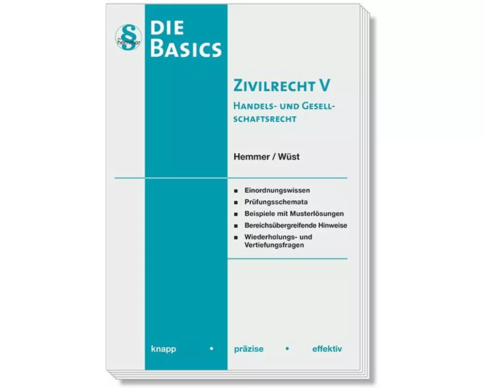 Basics Zivilrecht V - Handels- und Gesellschaftsrecht