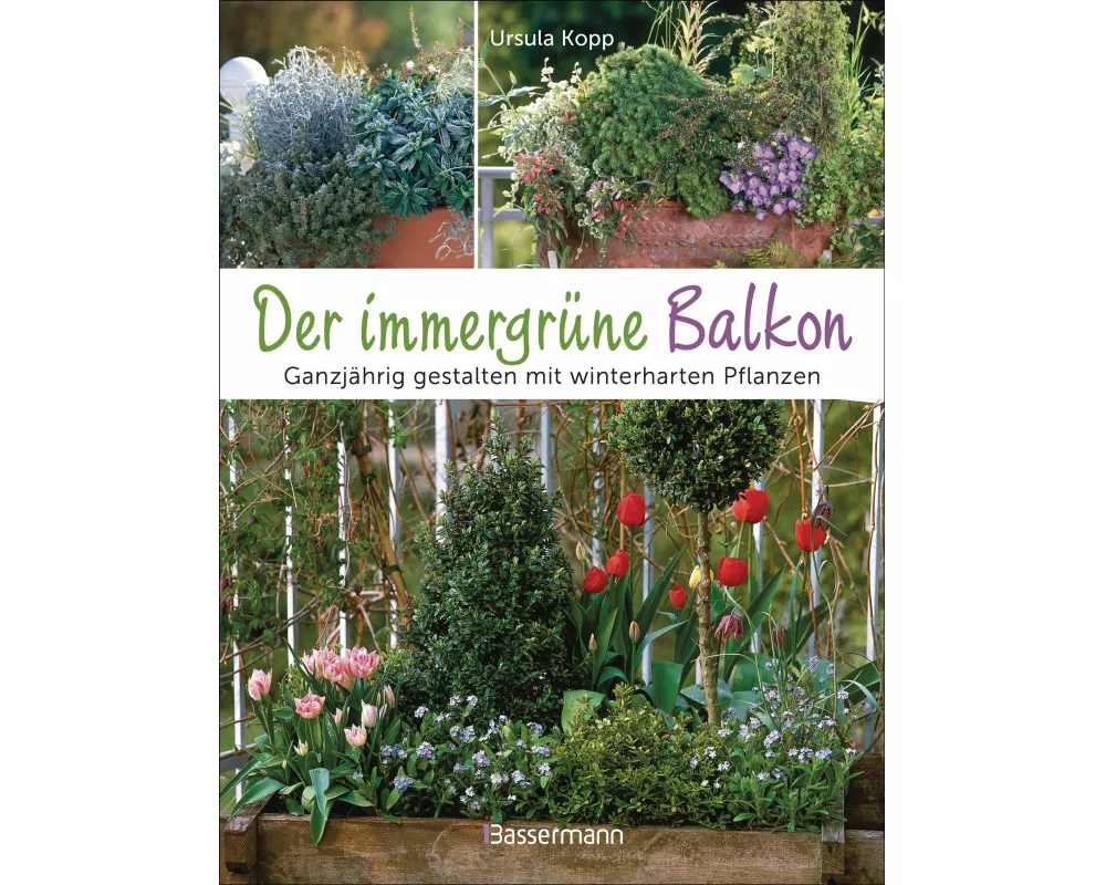 Der immergrüne Balkon. Ganzjährig gestalten mit winterharten Pflanzen
