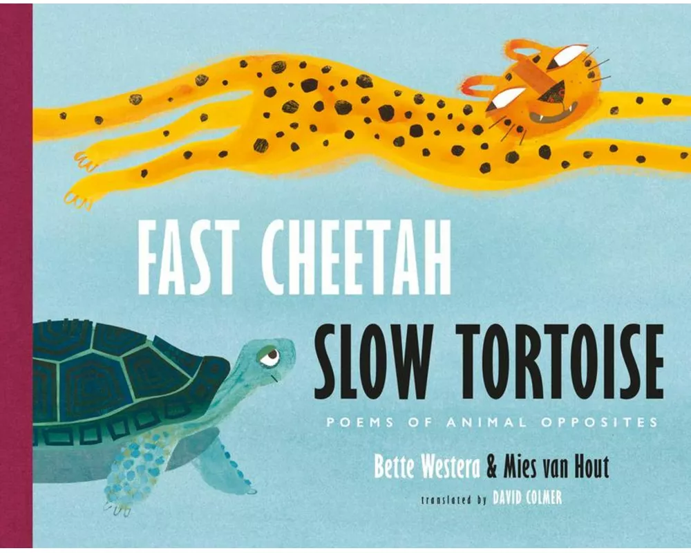 Fast Cheetah, Slow Tortoise