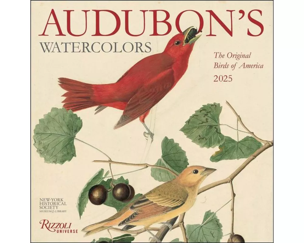 Audubon's Watercolors 2025 Wall Calendar