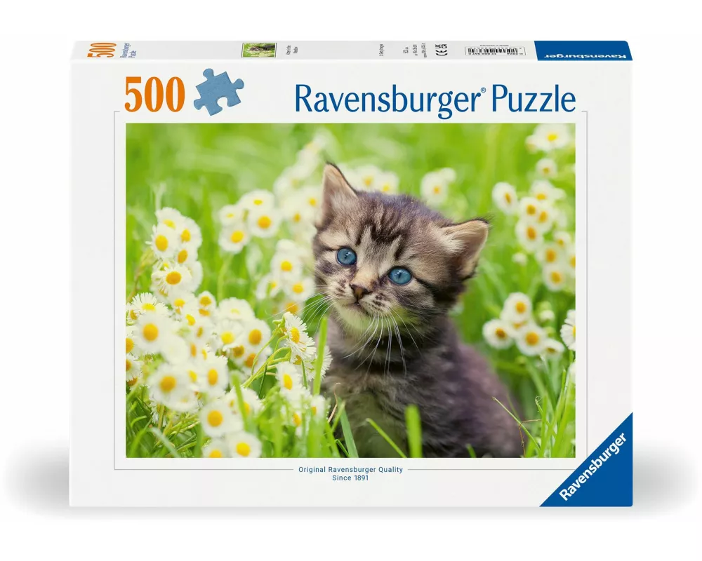 Erwachsenenpuzzle 500 Teile - Kätzchen in der Wiese