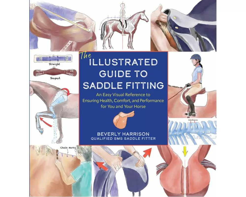 Illustrated Guide to Saddle Fitting