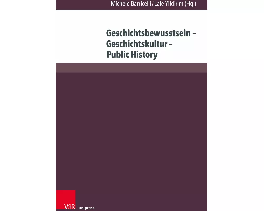 Geschichtsbewusstsein - Geschichtskultur - Public History