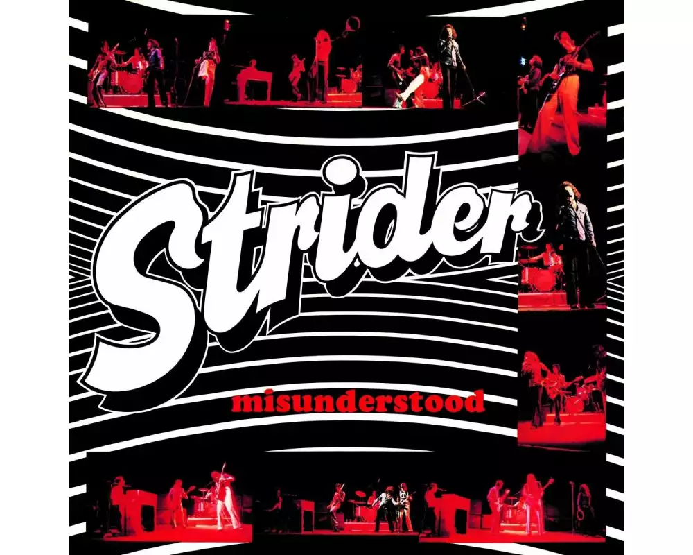 Misunderstood (Collector's Edition)