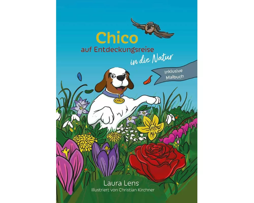 Chico auf Entdeckungsreise