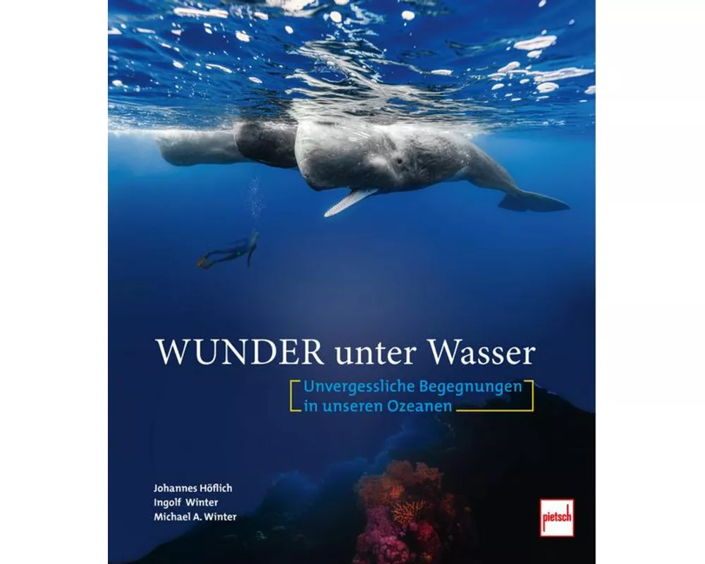 Wunder unter Wasser