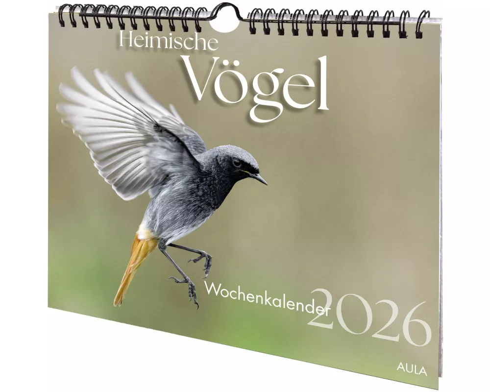 Heimische Vögel 2026 - Wochenkalender