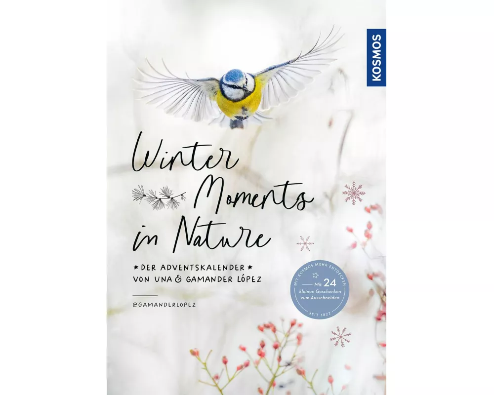 Winter Moments in Nature – der Adventskalender