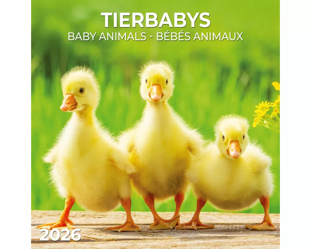 Tierbabys/Baby Animals 2026