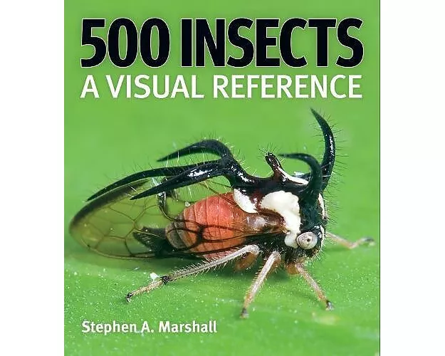 500 Insects: A Visual Reference