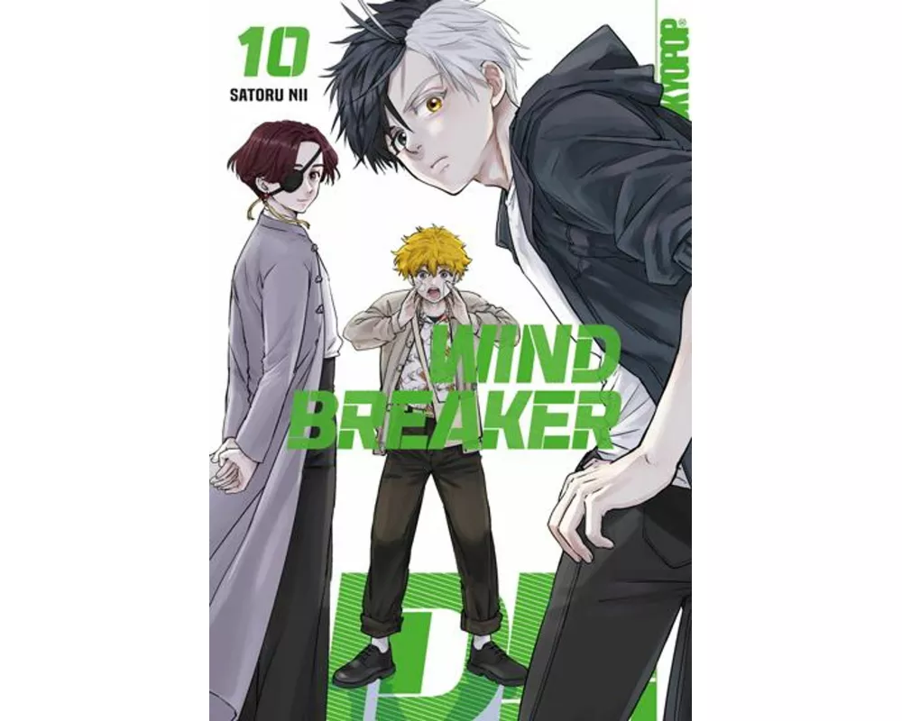 Wind Breaker 10