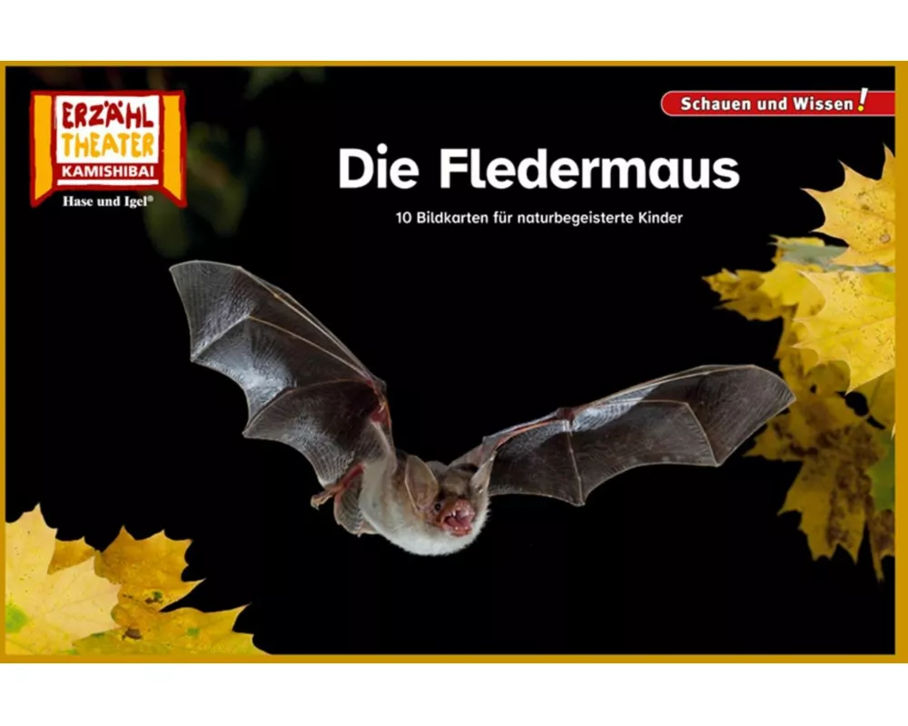Die Fledermaus / Kamishibai Bildkarten