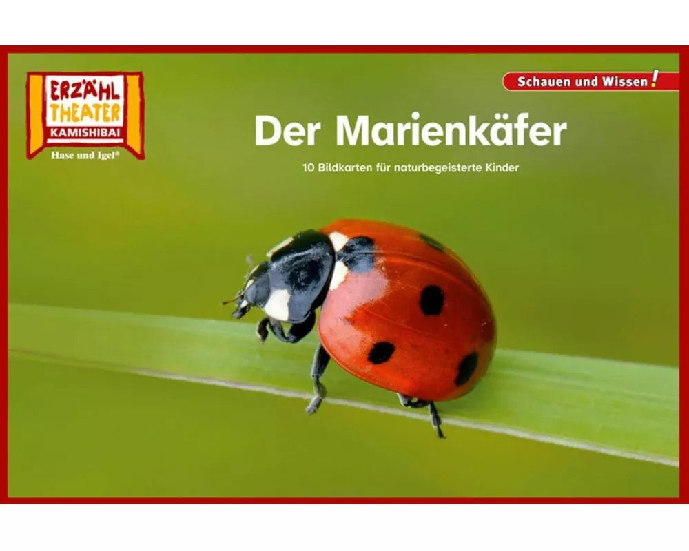 Der Marienkäfer / Kamishibai Bildkarten