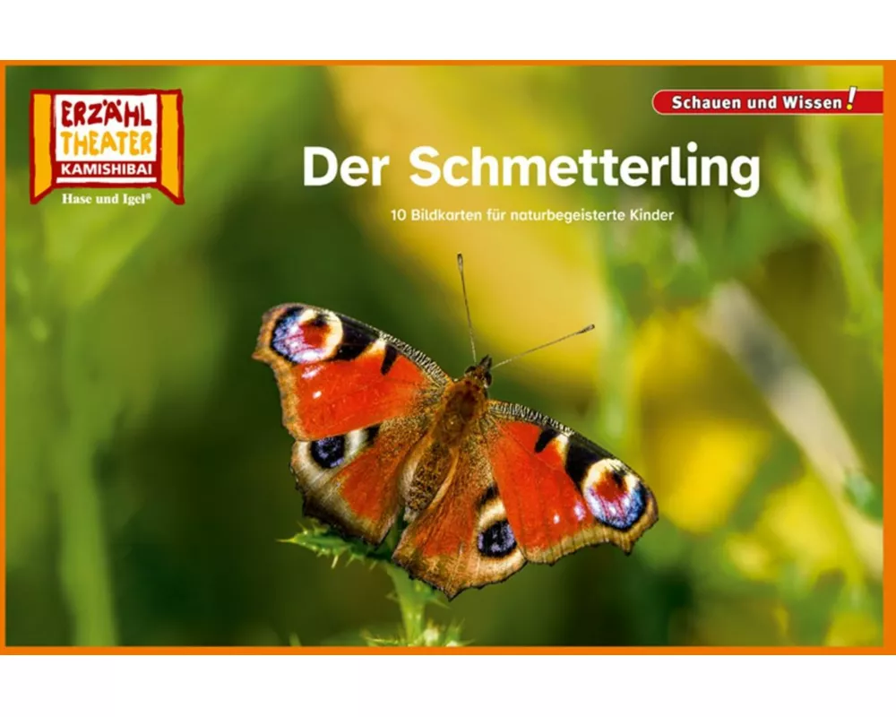 Der Schmetterling / Kamishibai Bildkarten