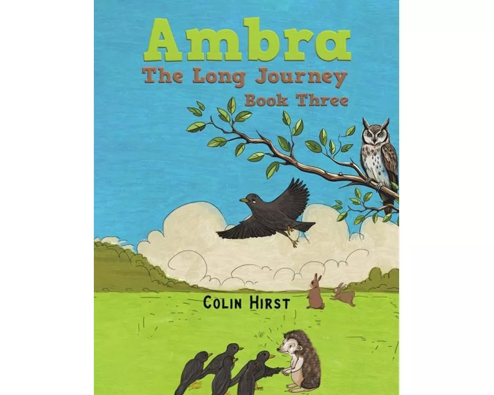 Ambra: The Long Journey