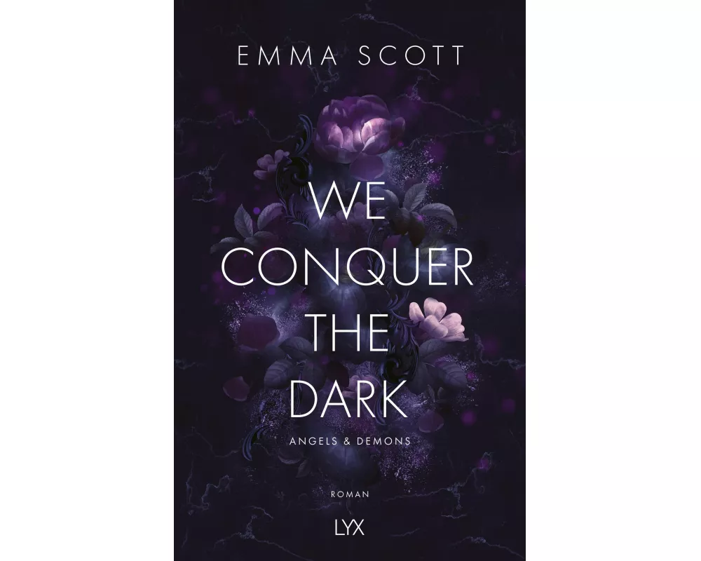 We Conquer the Dark