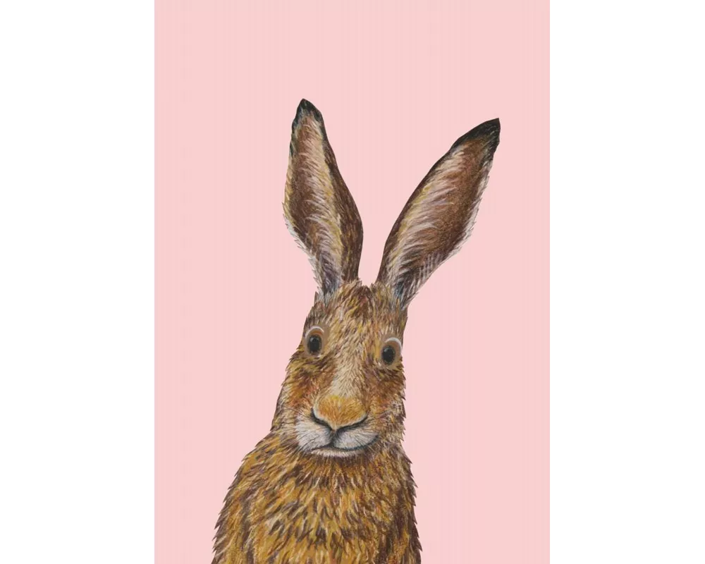 Ich heiße Hase, und... Postkarte VE 1=10