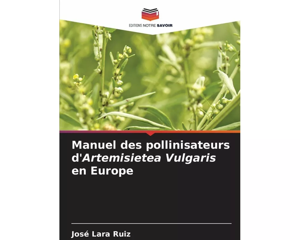 Manuel des pollinisateurs d'Artemisietea Vulgaris en Europe