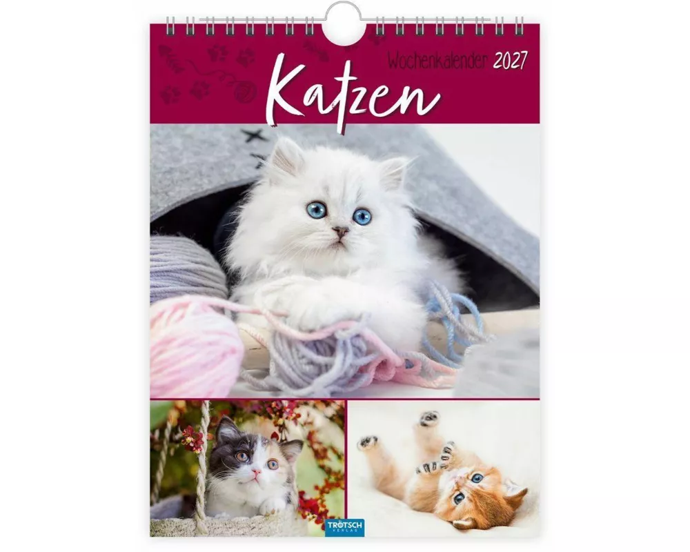 TRÖTSCH - Wochenkalender zum Hängen Katzen 2027