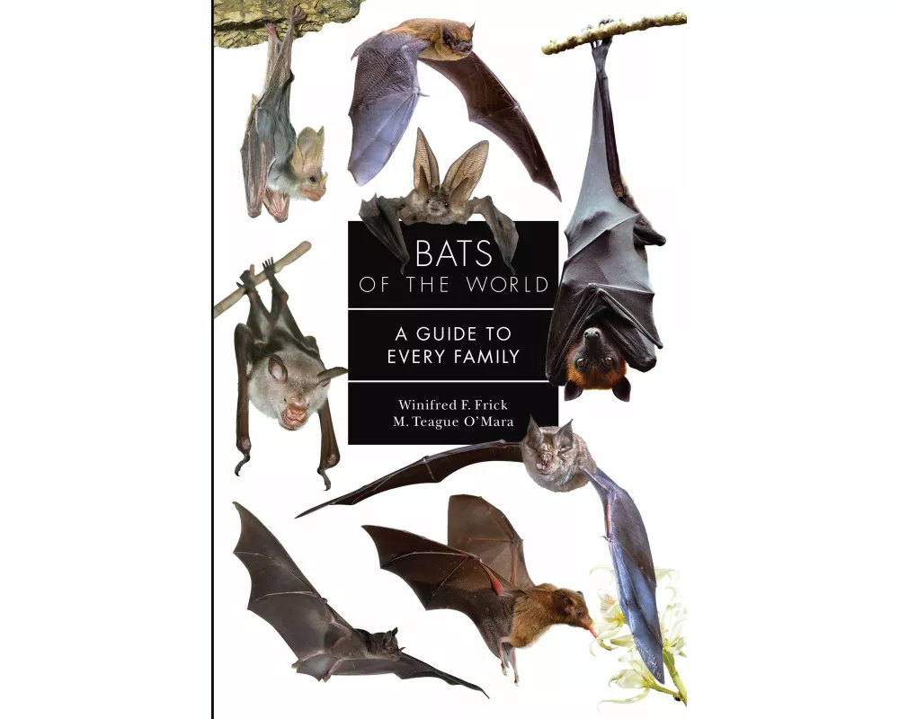 Bats of the World