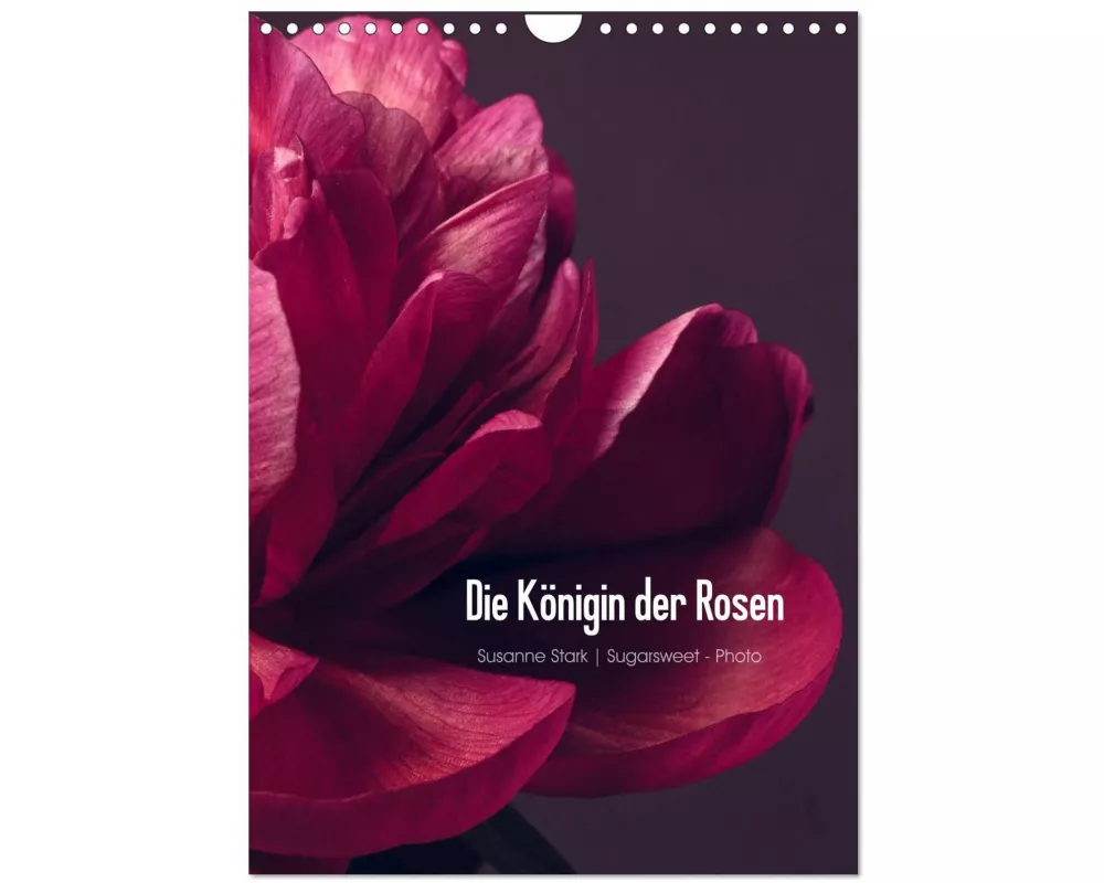 Die Königin der Rosen (Wandkalender 2026 DIN A4 hoch), CALVENDO Monatskalender
