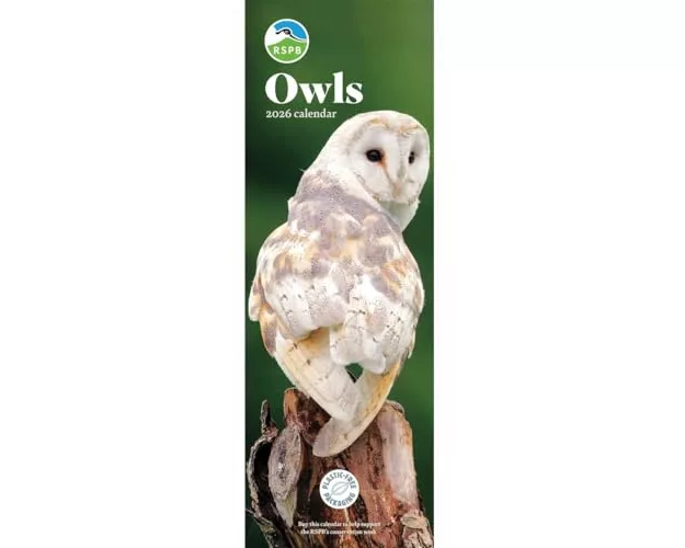 Rspb Owls Slim Calendar 2026