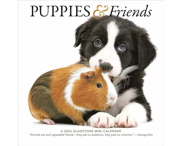 Puppies & Friends