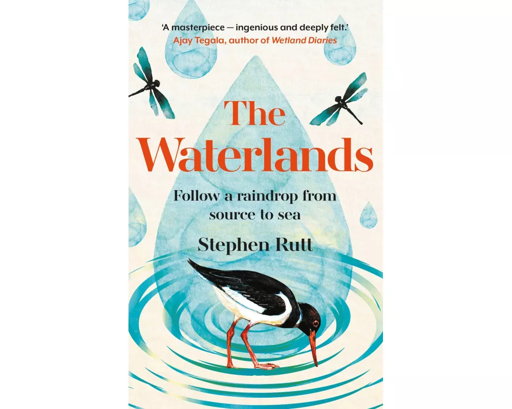 The Waterlands
