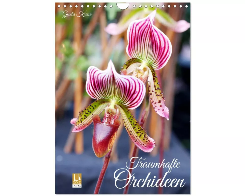 Traumhafte Orchideen (Wandkalender 2026 DIN A4 hoch), CALVENDO Monatskalender