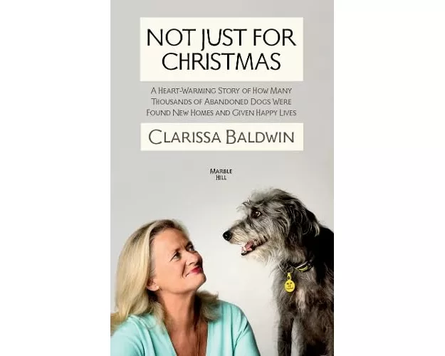Not Just For Christmas