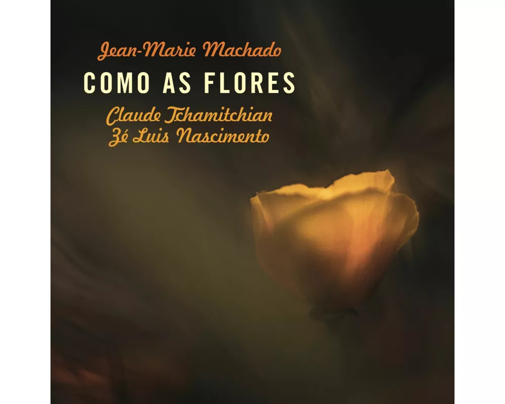 Como as Flores