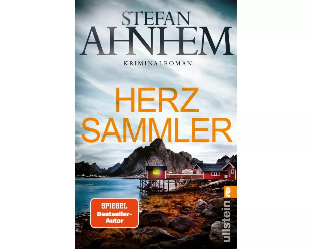 Herzsammler (Ein Fabian-Risk-Krimi 2)