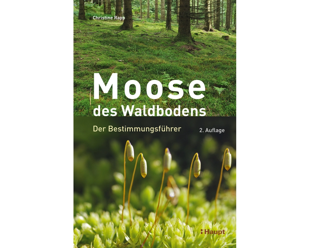 Moose des Waldbodens