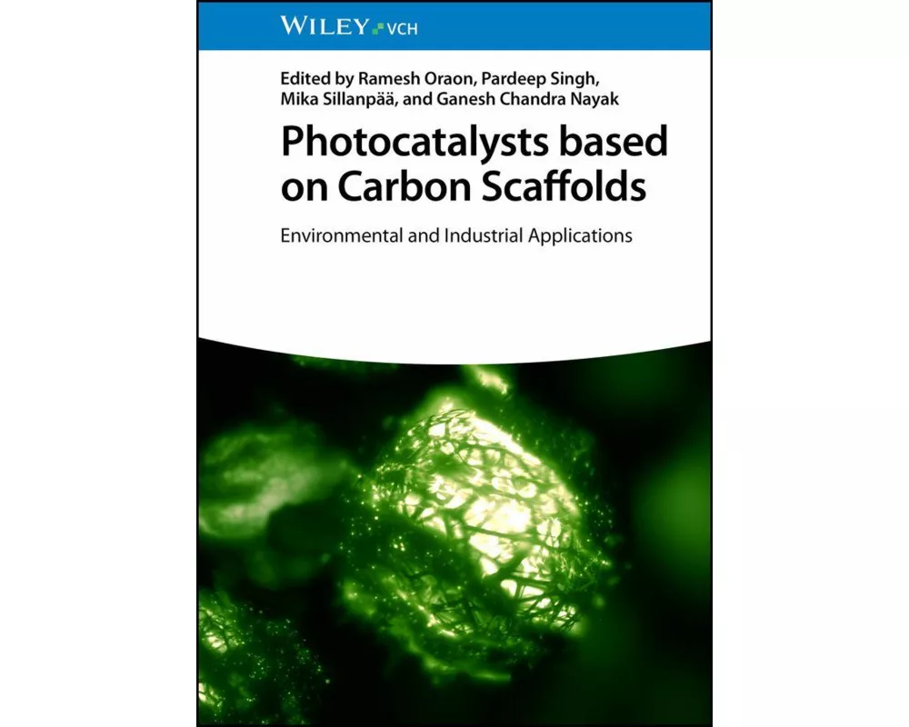 Photocatalysts based on Carbon Scaffolds